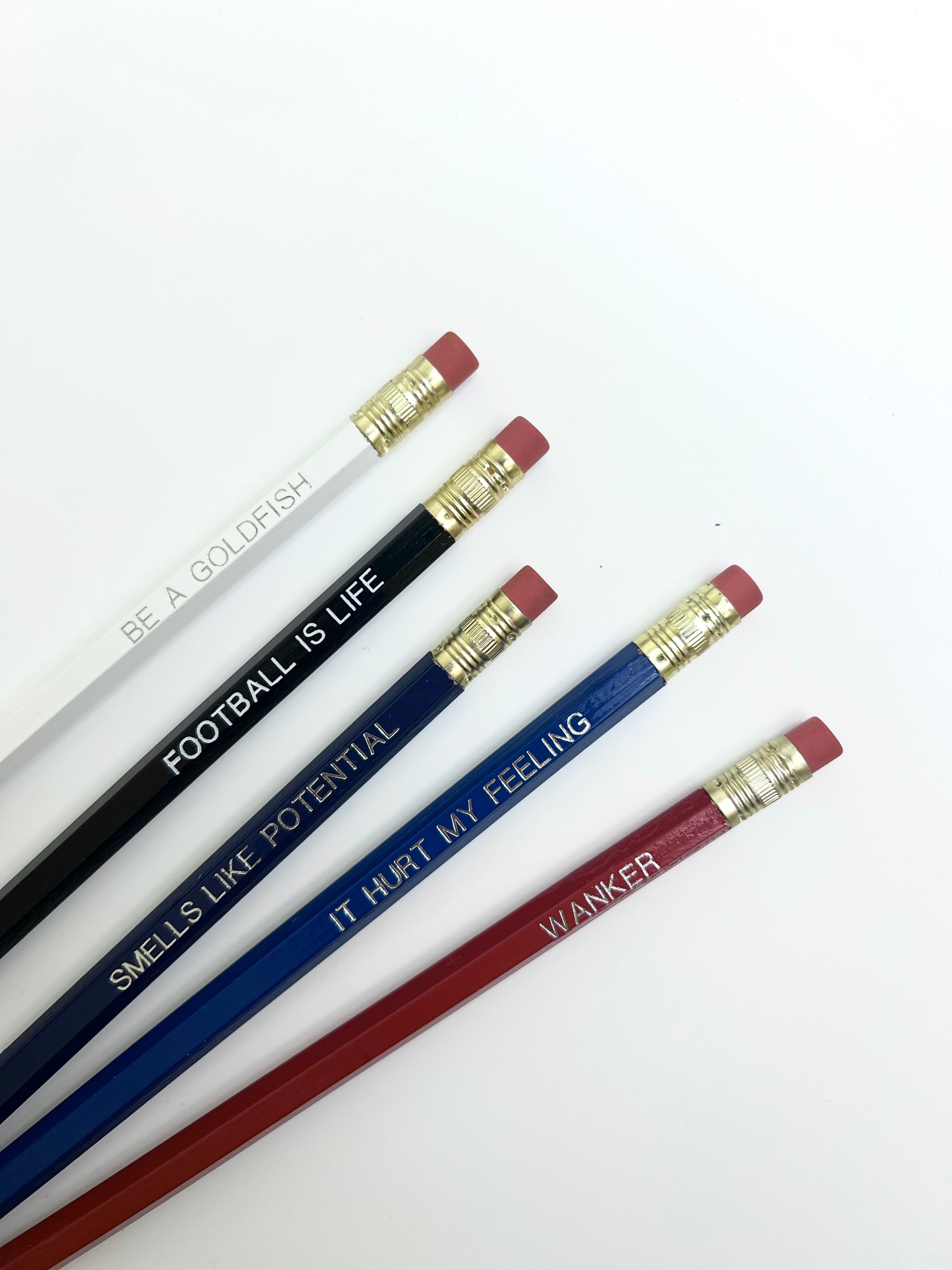 Ted Collection - Creativien