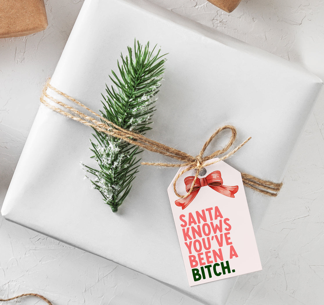 Santa knows you’ve been a bitch gift tag