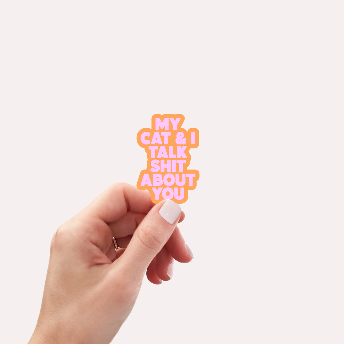 My cat and I talk shit about you vinyl sticker