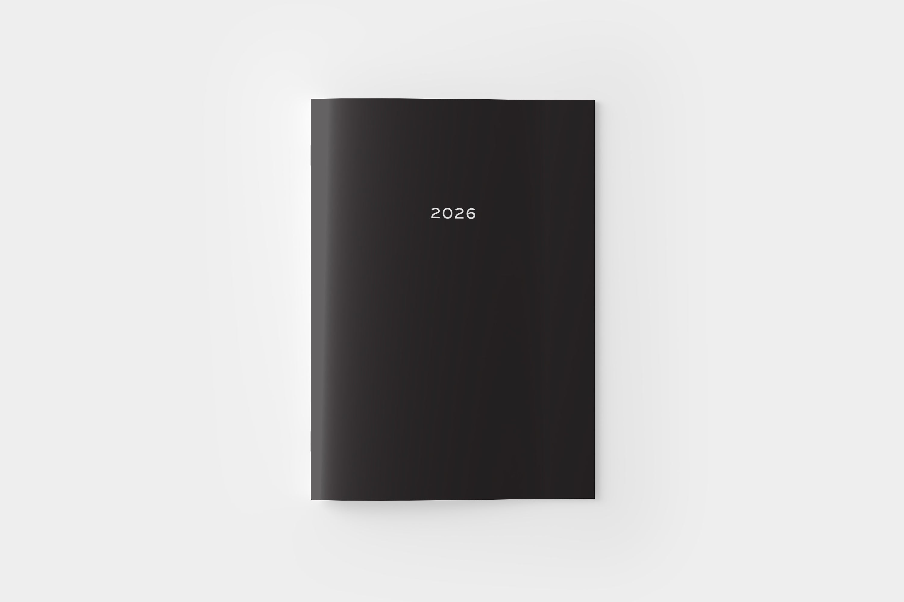 2026 Sassy Monthly Planner