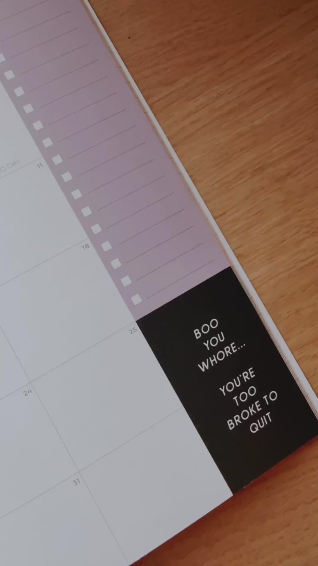 OOPSIE - 2025 Sassy Monthly Planner
