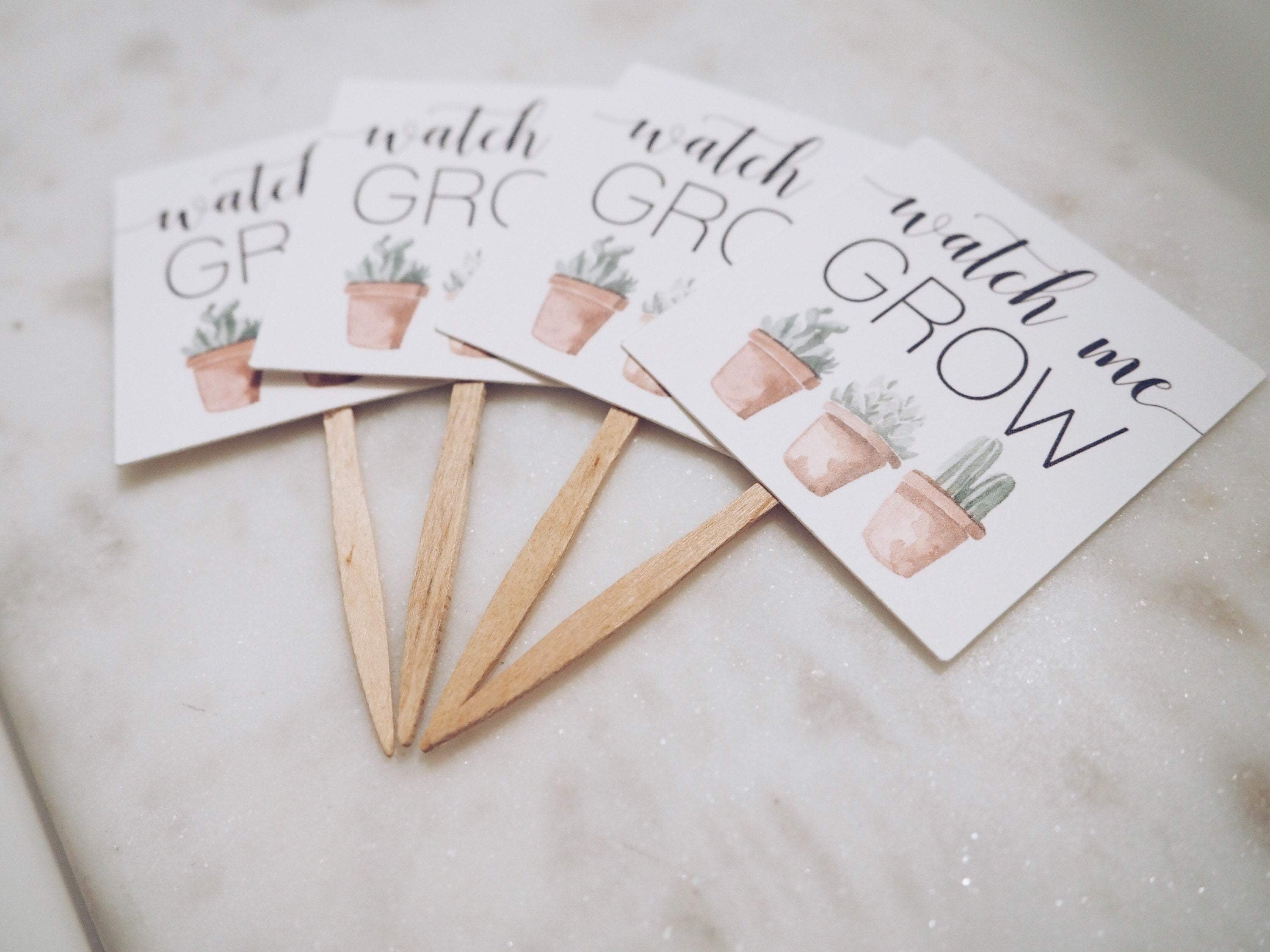 Succulent - Watch Me Grow Favor Tags  - Creativien
