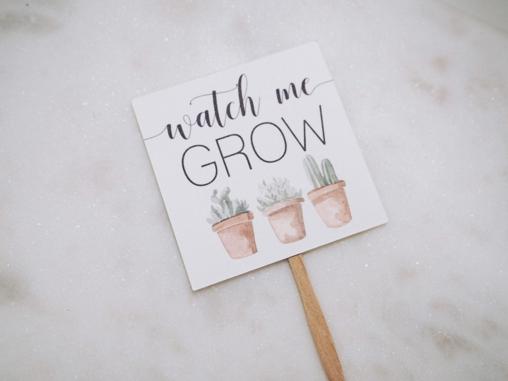 Succulent - Watch Me Grow Favor Tags  - Creativien